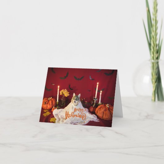 Enge kat in Grappig Halloween kostuum Kaart (Voorkant)