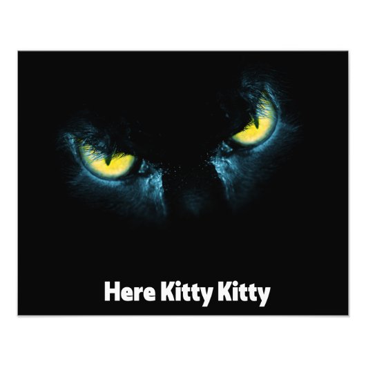 Enge kattenogen op een zwarte achtergrond foto afdruk (Voorkant)