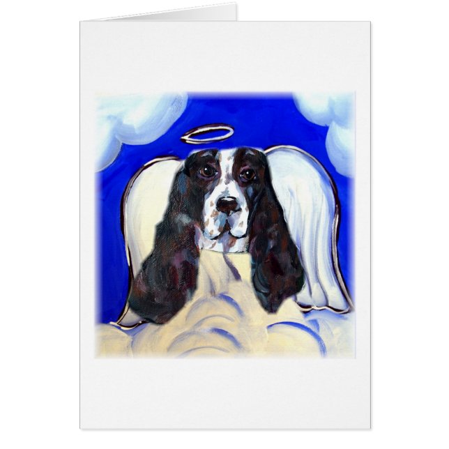 Engel English Springer Spaniel (Voorkant)