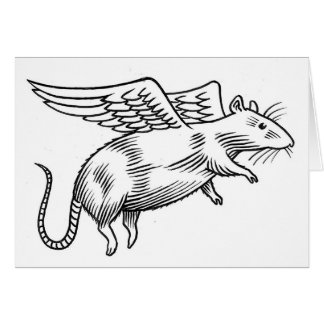 Engel rat
