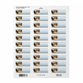 Engel van de pech etiket (Full Sheet)