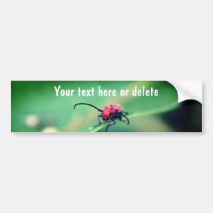 Engelachtige Rode Gespikkelde Kever Natuur Persoon Bumpersticker