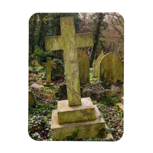 Engeland, Londen, kerkhof, gravesite Magneet (Verticaal)