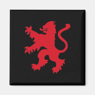 Engeland Voetbalshirt Engeland Voetbal Team Leeuw Magneet