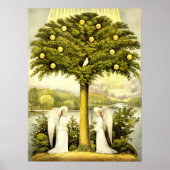 engelen en duiken in Lemon Tree Poster (Voorkant)