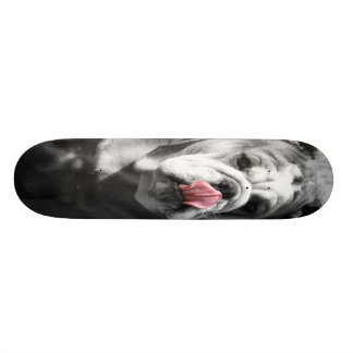 engels buldog skateboard