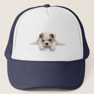 Engels Bull Dog Pet
