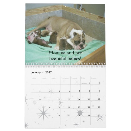 Engels Bulldog Calendar 2010 Kalender (Jan 2027)