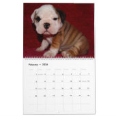 Engels Bulldog Calendar 2016 Kalender (Feb 2026)