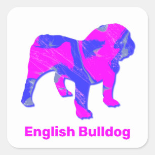 Engels Bulldog Crazy Hot Pink & Blue Vierkante Sticker