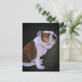 Engels Bulldog Dog Art Briefkaart (Staand voorkant)