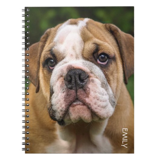 Engels Bulldog Dog Personalized Notitieboek (Voorkant)