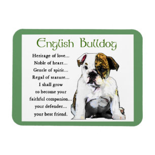 Engels Bulldog Puppy Heritage of Love Magneet