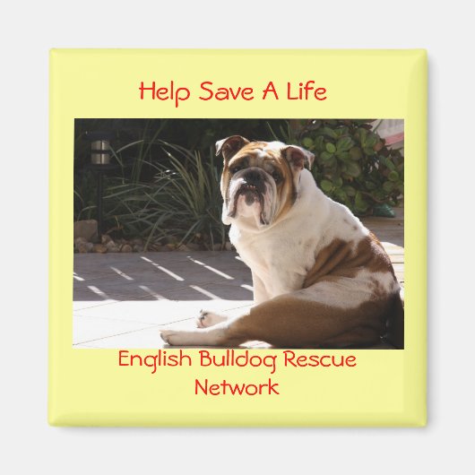 Engels Bulldog Rescue Network - Gepersonaliseerd Magneet (Voorkant)