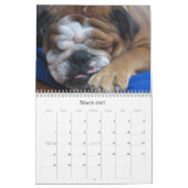 engels bulshafkalender kalender (Mar 2027)