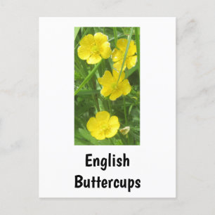 Engels Buttercups Briefkaart