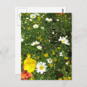 Engels Cottage Garden Briefkaart (Voorkant / Achterkant)