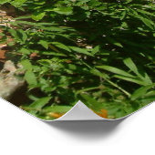 Engels Cottage I Poster (Hoek)