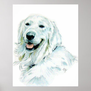 Engels Golden Retriever print