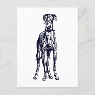 Engels Greyhound Breed Briefkaart