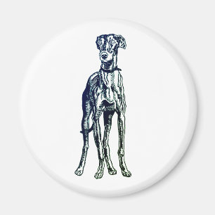 Engels Greyhound Breed Magnet Magneet