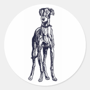 Engels Greyhound Breed Ronde Sticker