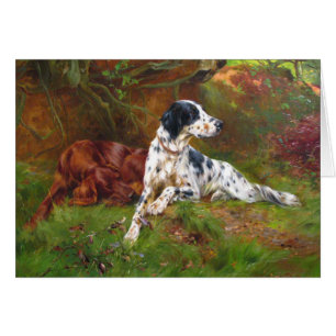 - Engels & Irish Setter Dogs,