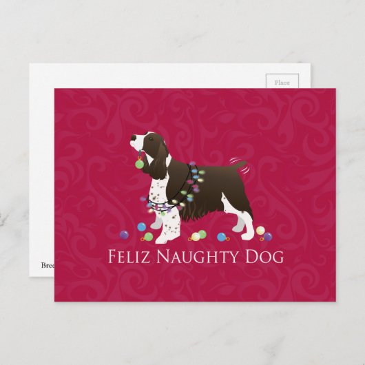 Engels kerstontwerp met Springer Spaniel Feestdagenkaart (Voorkant / Achterkant)