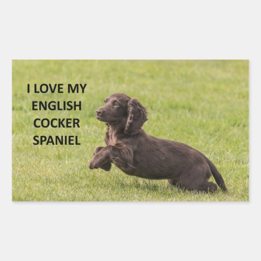 engels kokker spaniel liefde voor afbeelding rechthoekige sticker (Voorkant)