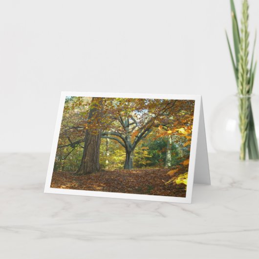 Engels Landschappelijk Boslandschap Kaart (Voorkant)