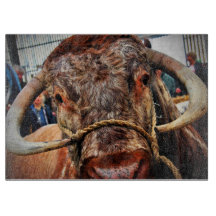 Engels Long Horn Koe Cattle Poster