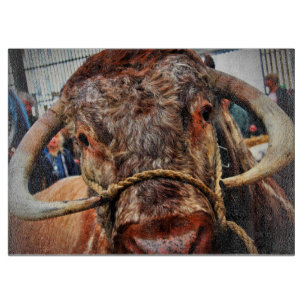 Engels Long Horn Koe Cattle Poster Snijplank