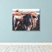 Engels Longhorns Canvas Afdruk (Insitu (Houten vloer))