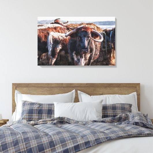 Engels Longhorns Canvas Afdruk (Insitu (Slaapkamer))