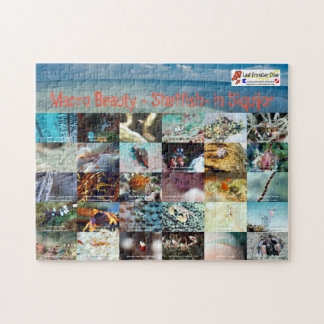 Engels: Macro Beauty - Shellfish - in Siquijor Legpuzzel