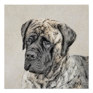 Engels Mastiff (Brindle) schilderen - Dog Art Perfect Poster