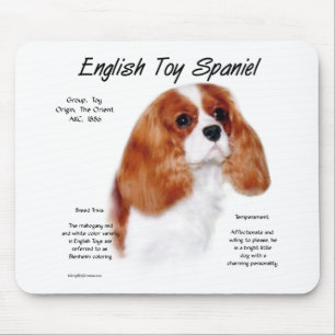 Engels Speelgoed Spaniel (blenheim) Geschiedenis O Muismat