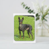 Engels Speelgoed Terrier 9R78D-77 Briefkaart (Staand voorkant)