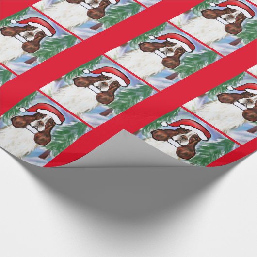 ENGELS SPRINGE SPANIEL CADEAUPAPIER (Hoek)