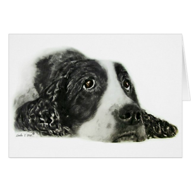 Engels Springer Spaniel (Voorkant Horizontaal)