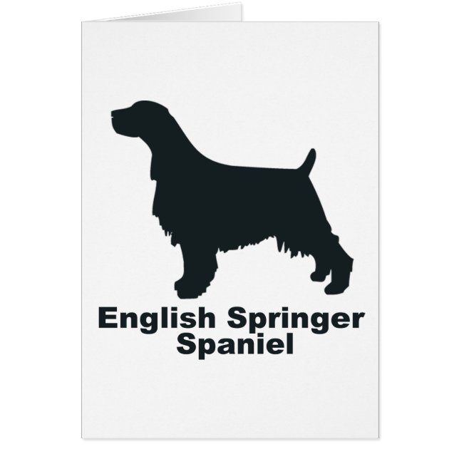 Engels Springer Spaniel (Voorkant)