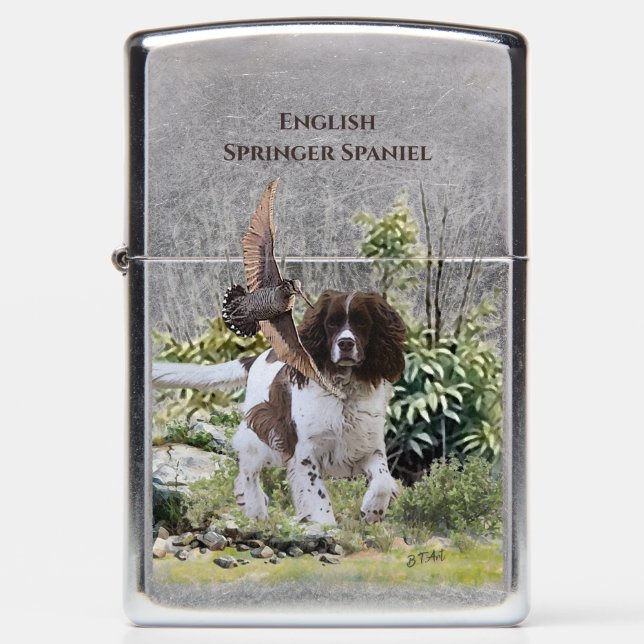 Engels Springer Spaniel (Voorkant)