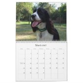 Engels Springer Spaniel 2009 Agenda Kalender (Mar 2027)