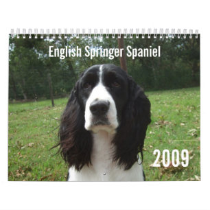 Engels Springer Spaniel 2009 Agenda Kalender