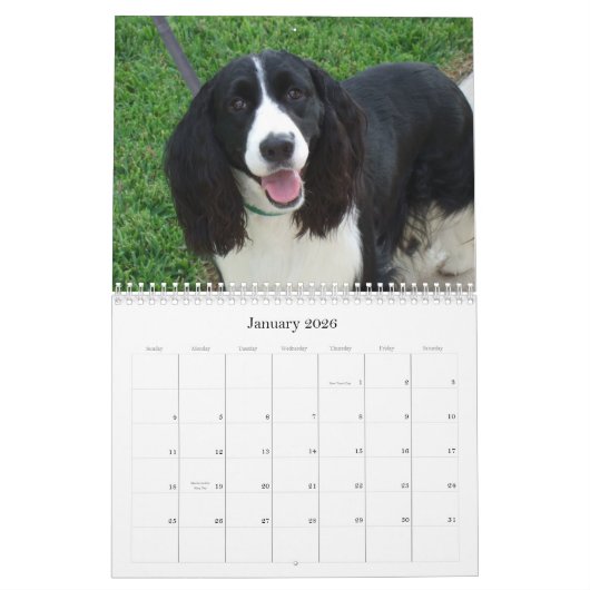 Engels Springer Spaniel 2009 Agenda Kalender (Jan 2026)
