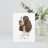 Engels Springer Spaniel 8M15D-05 Briefkaart (Staand voorkant)