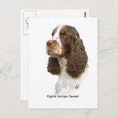 Engels Springer Spaniel 8M15D-05 Briefkaart (Voorkant / Achterkant)