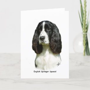 Engels Springer Spaniel 9J37D-20 Kaart