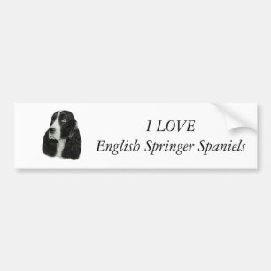 Engels Springer Spaniel Bumpersticker