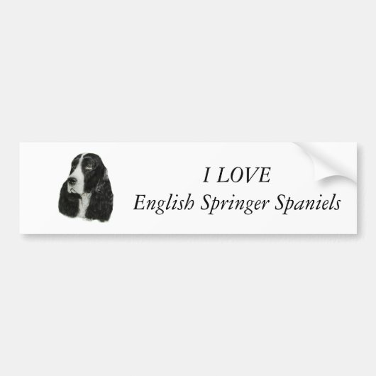 Engels Springer Spaniel Bumpersticker (Voorkant)